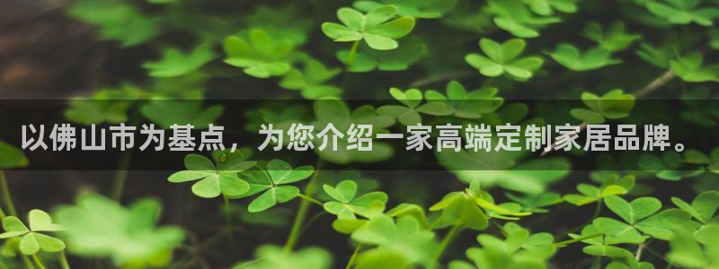 娱乐急先锋全集下载