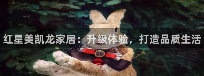 先锋娱乐大厅首页