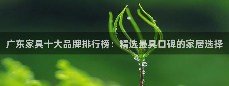 先锋电子车载娱乐系统