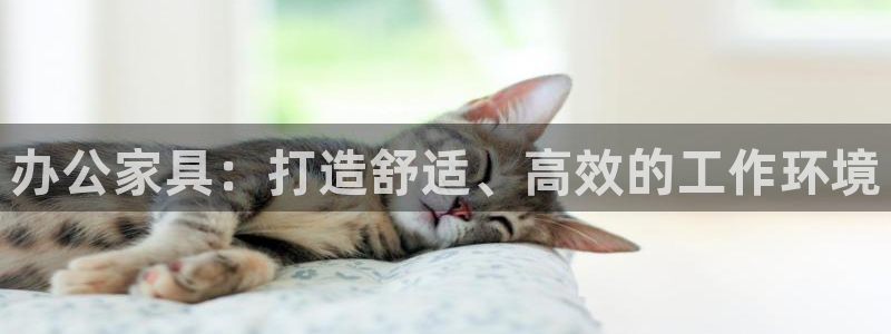 先锋娱乐大厅首页
