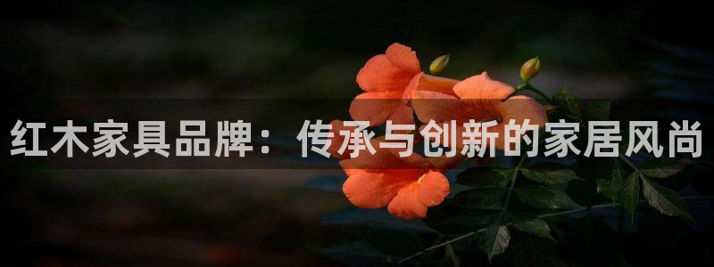 先锋娱乐大厅牛牛