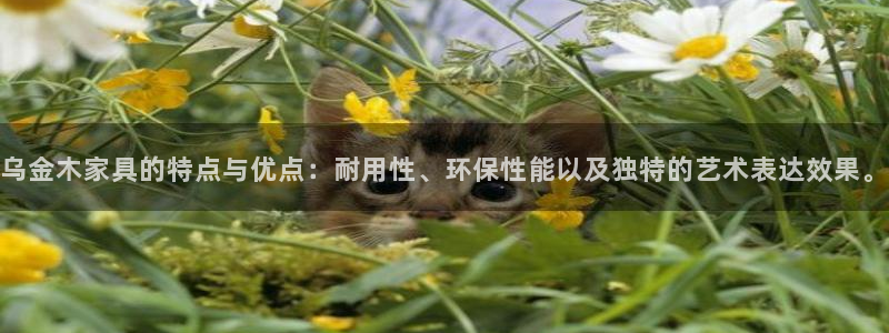 先锋支付娱乐城