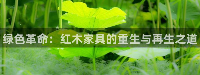 先锋娱乐电话