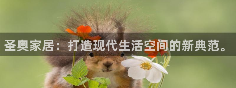 先锋娱乐官