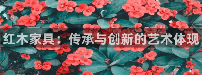 亚洲先锋娱乐跌