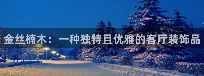 先锋娱乐资讯官网入口