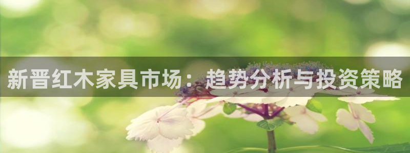 先锋娱乐公司