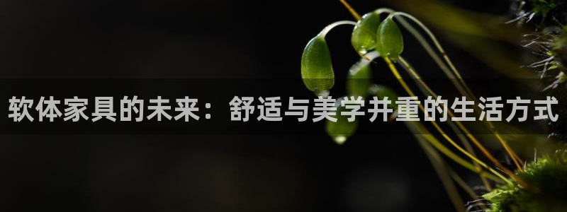 吉林先锋娱乐