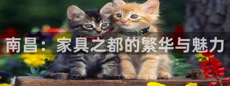 先锋娱乐电话
