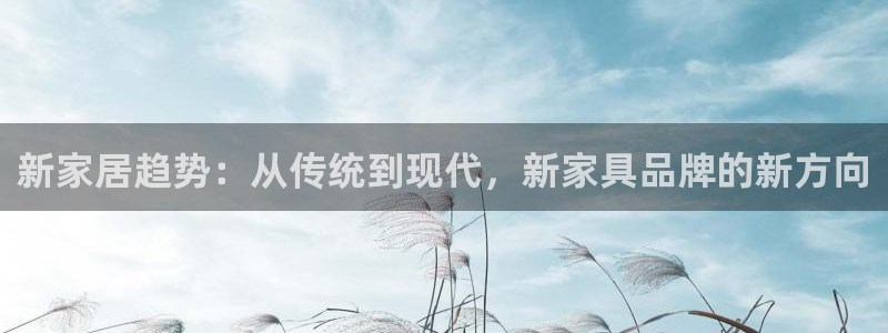先锋电子车载娱乐系统