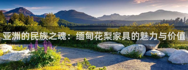 先锋娱乐赛