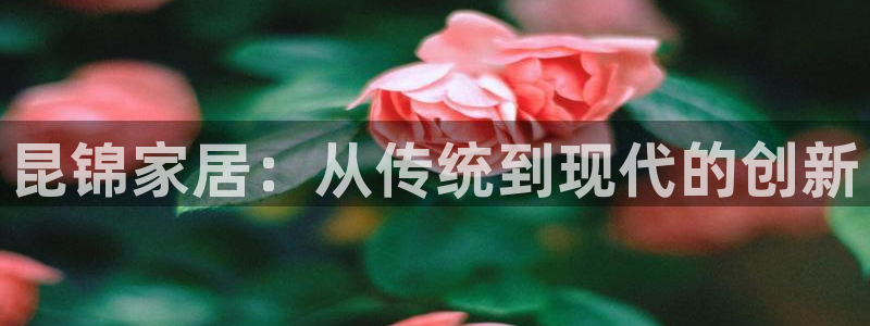 先锋娱乐公司