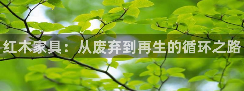 先锋国际娱乐