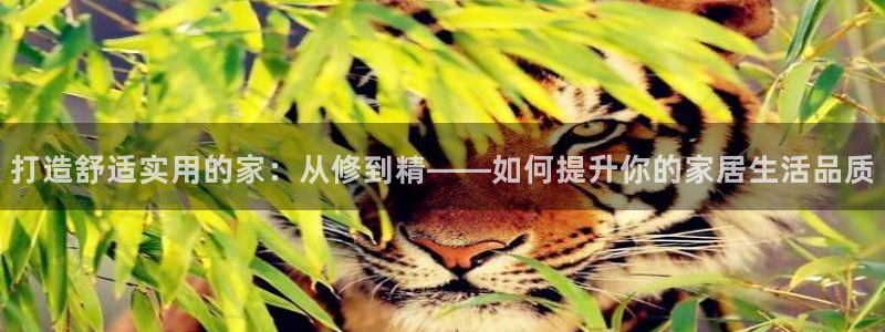 先锋娱乐客服中心