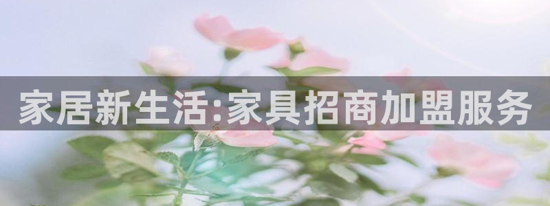 先锋岛娱乐：家居新生活:家具招商加盟服务