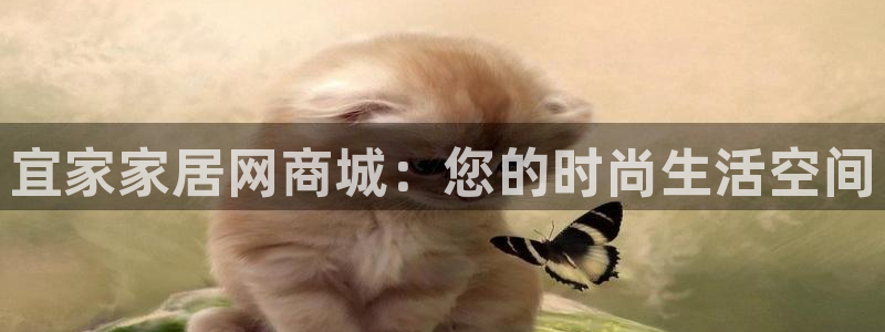 先锋娱乐客服中心