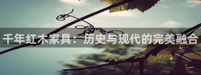 先锋娱乐上分