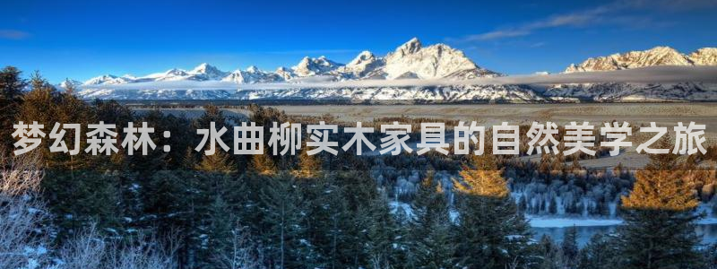 先锋娱乐垫付金额