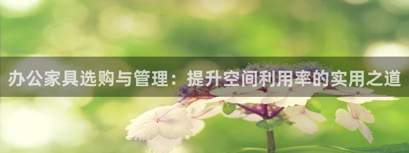 先锋娱乐理财logo