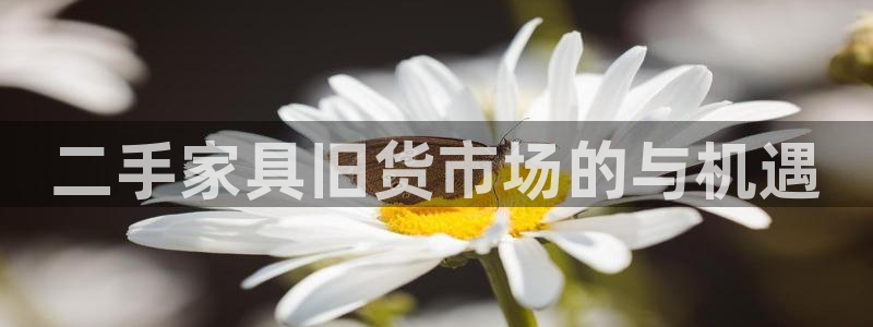 先锋娱乐上分：二手家具旧货市场的与机遇