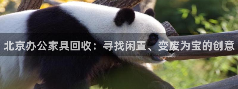 先锋娱乐情报：北京办公家具回收：寻找闲置、变废为宝的创意