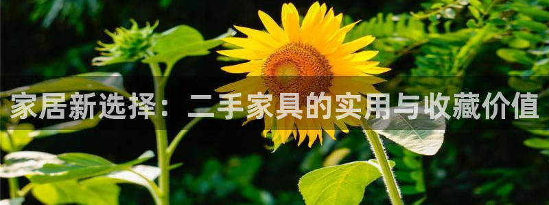 娱乐急先锋李诞甄子丹