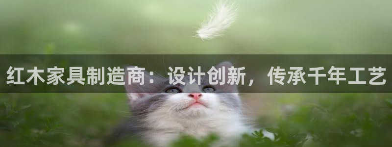 先锋娱乐管理集团招聘