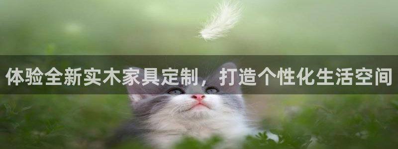 先锋娱乐属于违法吗