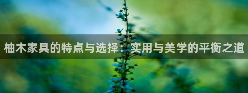 先锋娱乐大厅牛牛