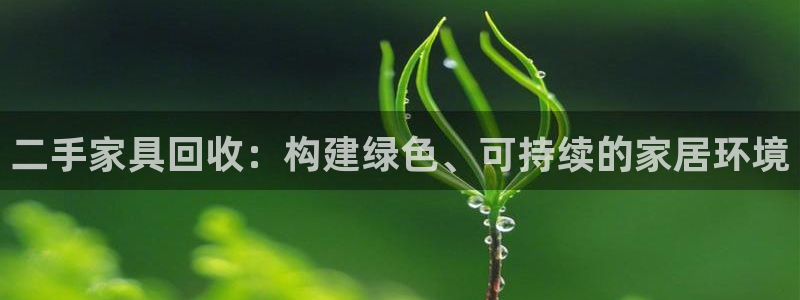 先锋国际娱乐：二手家具回收：构建绿色、可持续的家居环境