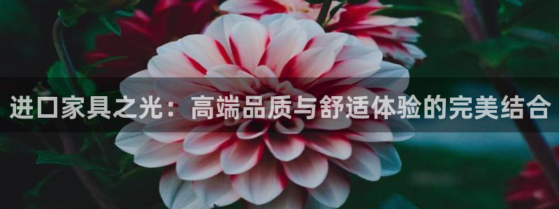 先锋娱乐科技：进口家具之光：高端品质与舒适体验的完美结合