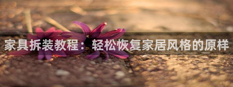 娱乐急先锋李诞甄子丹