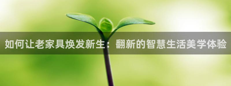 先锋娱乐电话：如何让老家具焕发新生：翻新的智慧生活美学体验