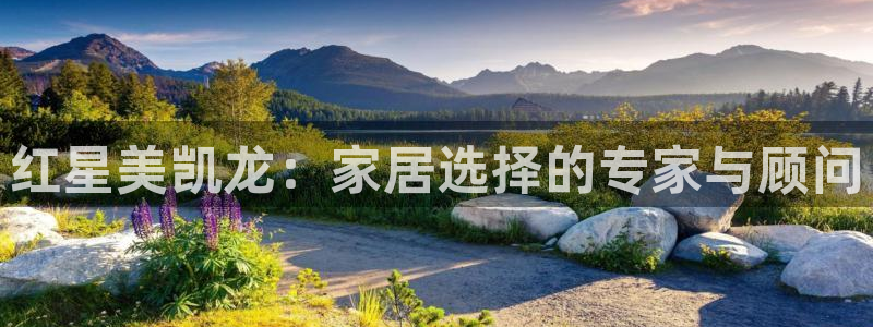 先锋娱乐团：红星美凯龙：家居选择的专家与顾问