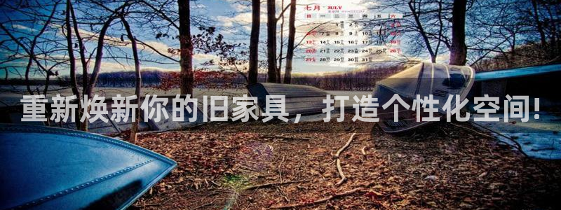 娱乐急先锋李诞甄子丹：重新焕新你的旧家具，打造个性化空间!