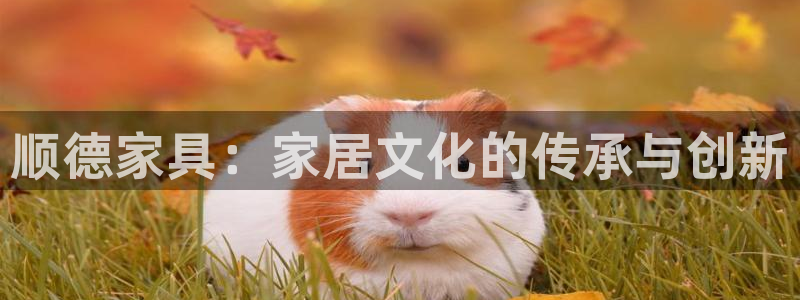 威斯汀娱乐先锋