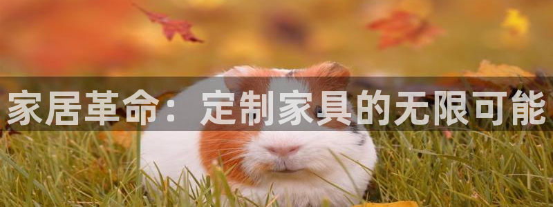 先锋娱乐账号注册不了