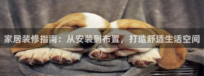 娱乐急先锋全集下载