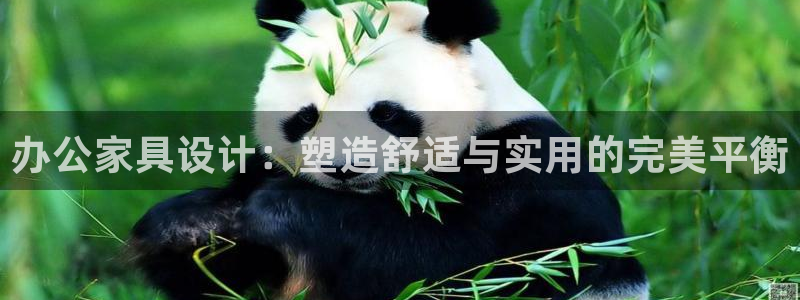 先锋娱乐简介图片