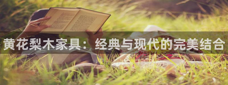 先锋娱乐社：黄花梨木家具：经典与现代的完美结合