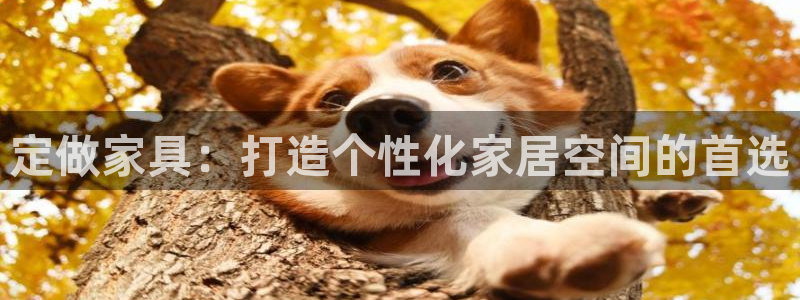 怎么下载先锋娱乐大厅