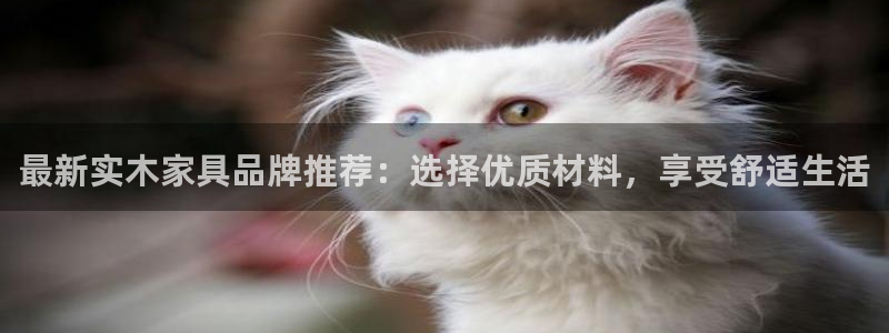 娱乐急先锋李诞甄子丹