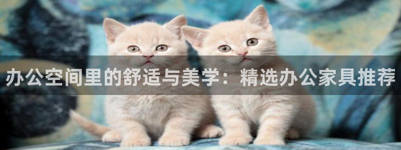 亚洲先锋娱乐招股