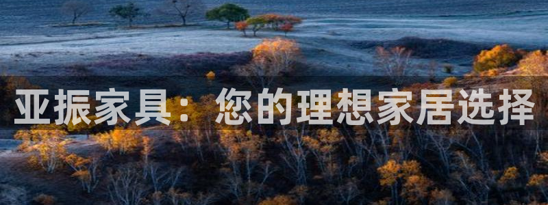 先锋娱乐理财logo