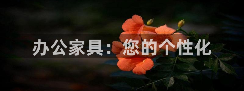 先锋娱乐币：办公家具：您的个性化