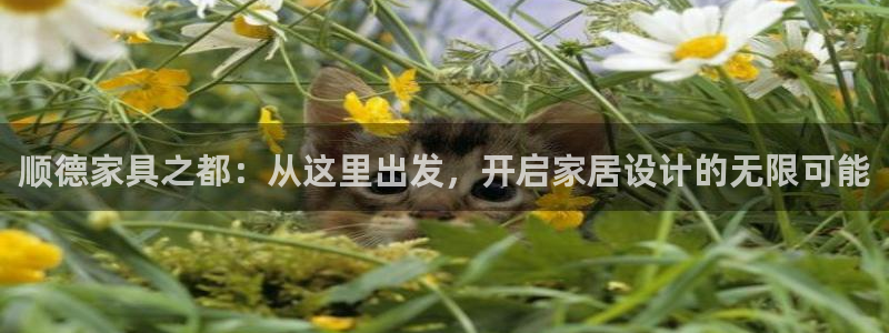先锋娱乐客服中心